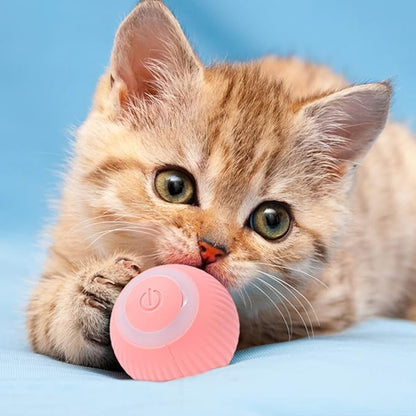 Smart Motion Cat Toy Ball – Rechargeable & Engaging Fun