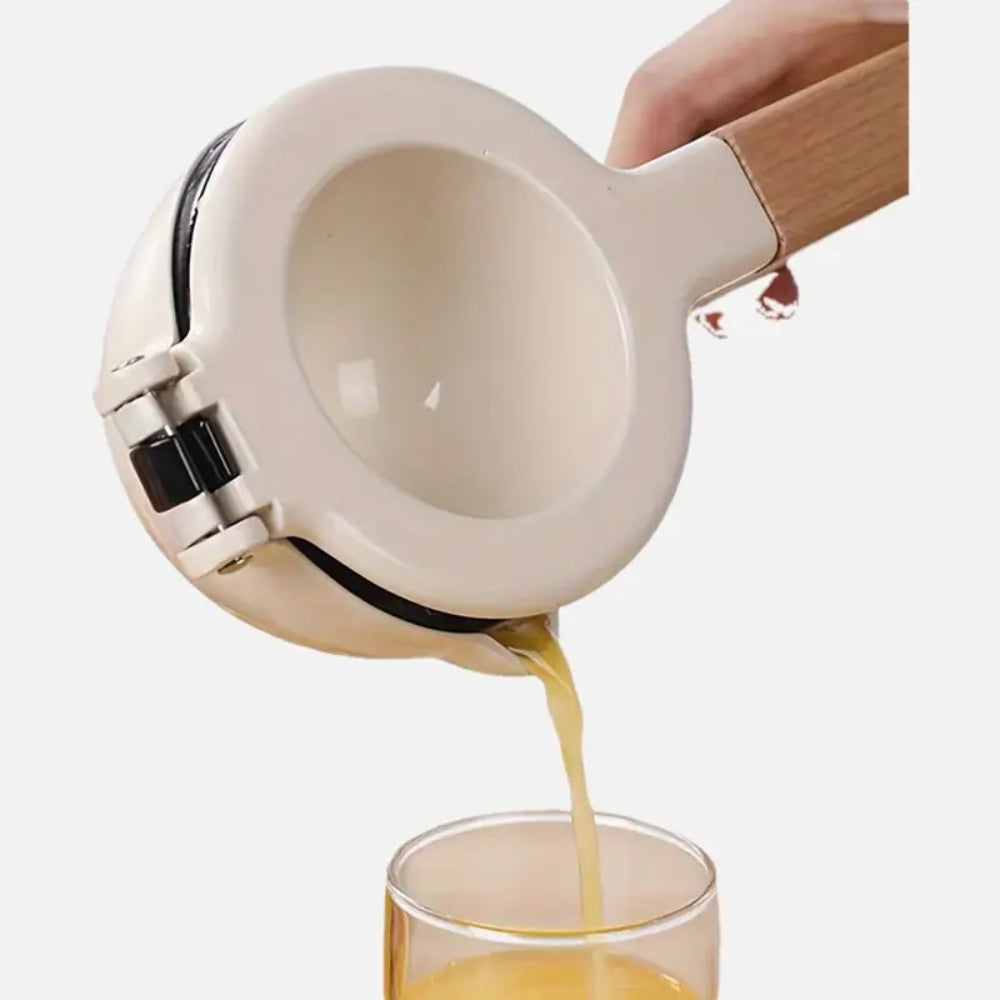 CitrusMaster | Premium Stainless Steel Manual Juicer with Comfort Grip