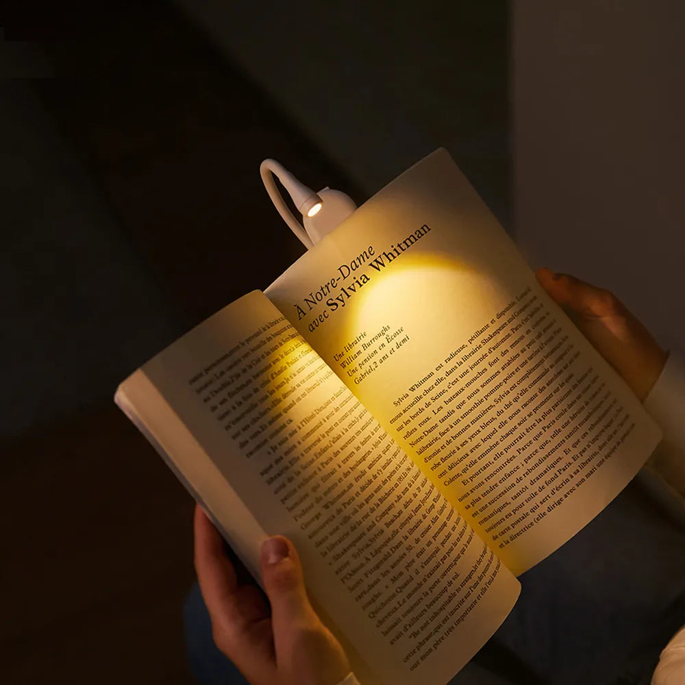 Portable USB Rechargeable Reading Light with Flexible Neck
