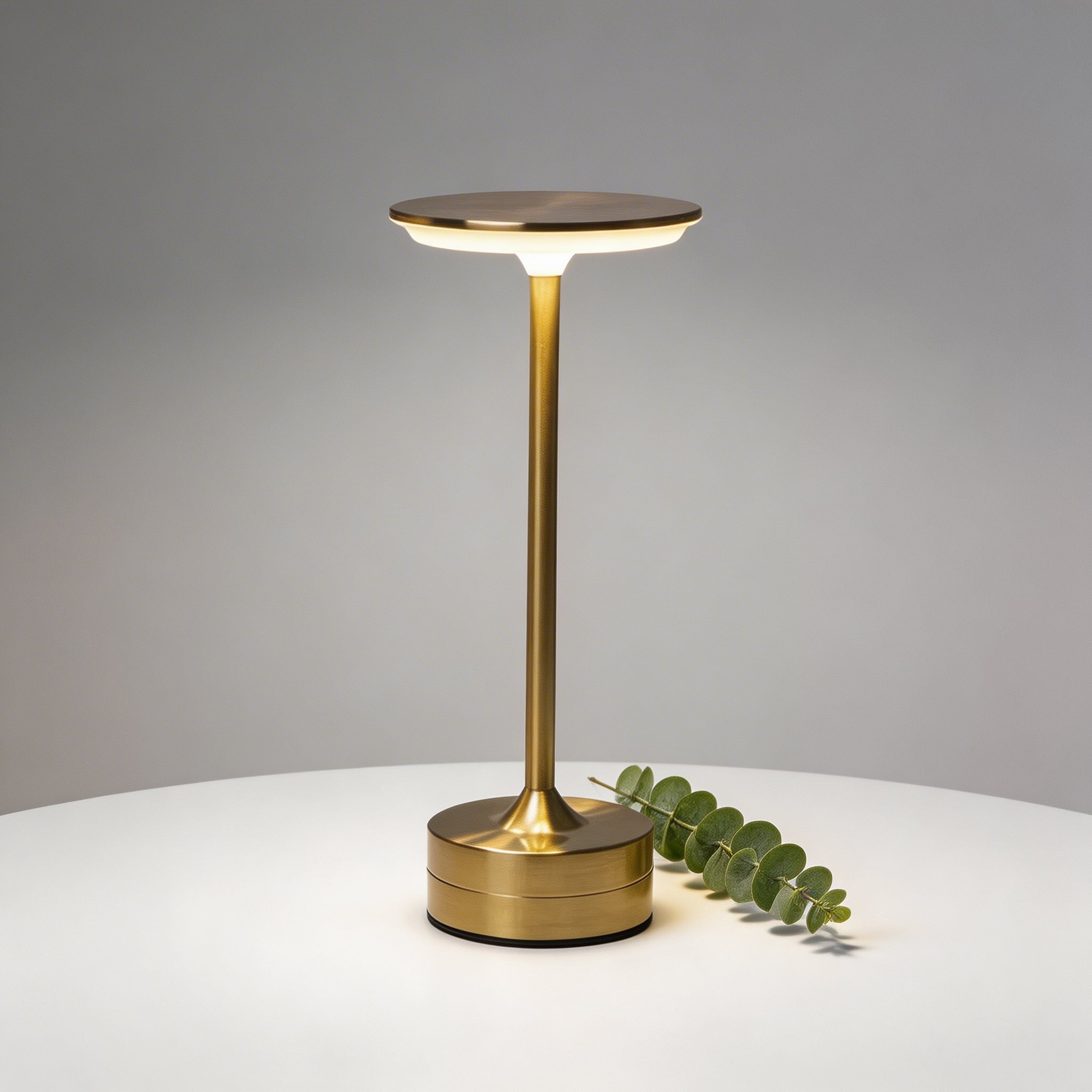Portable LED Table Lamp with USB Rechargeable Battery