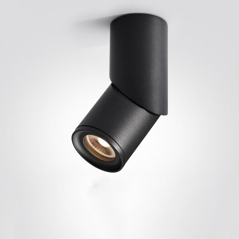 Versatile 360° Adjustable LED Ceiling Light for Indoor Spaces