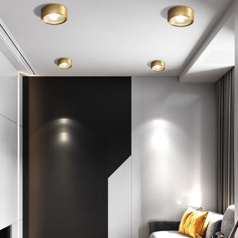 Elegant Surface-Mount LED Ceiling Light with Versatile Finishes