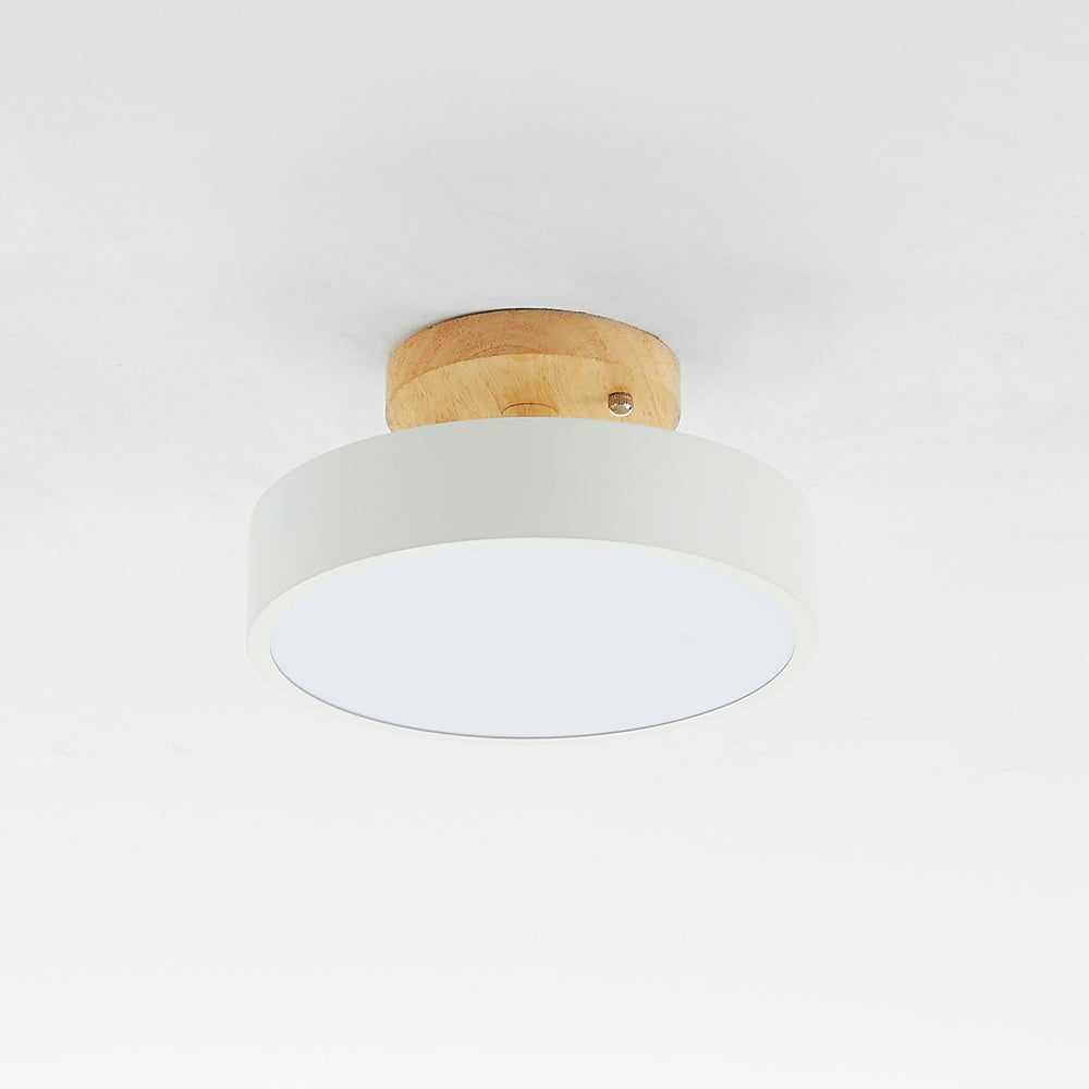 Contemporary Ceiling Light Fixture with LED Technology