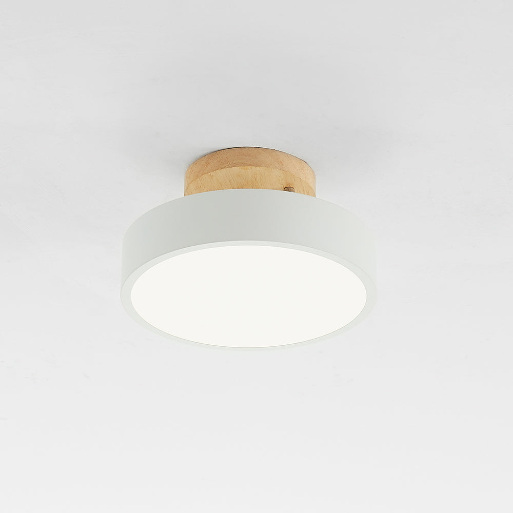 Contemporary Ceiling Light Fixture with LED Technology