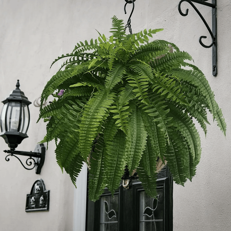 EverGreen Panels – Durable UV-Resistant Outdoor Decor