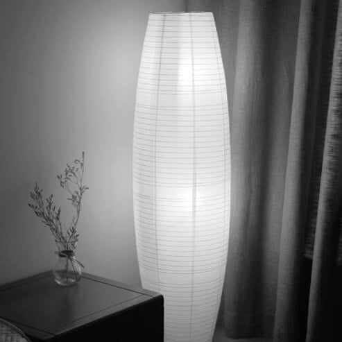Chic Illuminate | Sleek Black Floor Lamp for Modern Homes