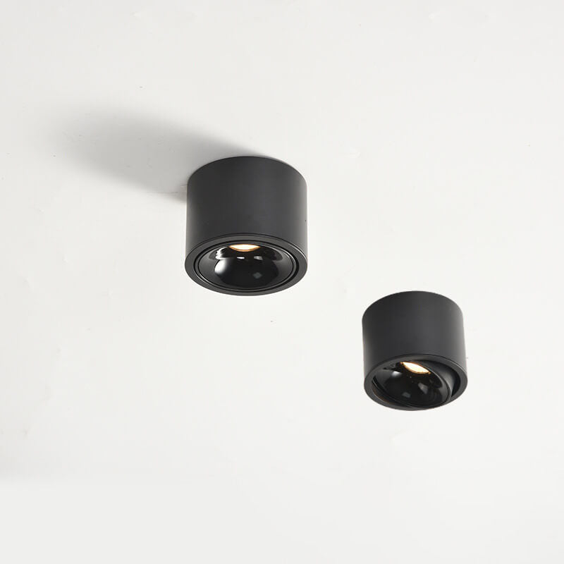 Elegant Adjustable LED Ceiling Light for Any Room