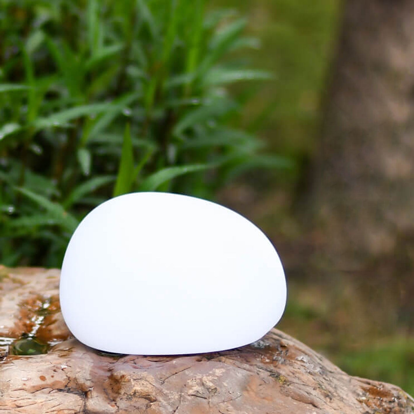 SolaraGlow | Stylish Solar-Powered Outdoor Garden Light