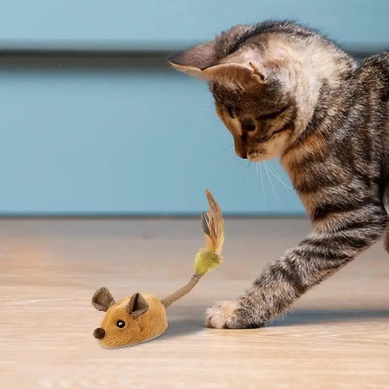 Dynamic Feline Playmate