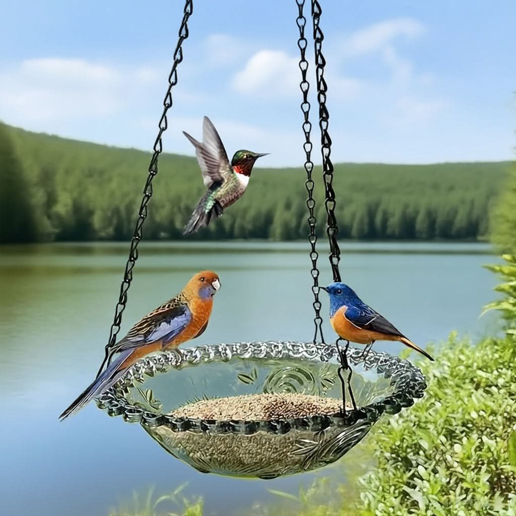 Charming Double Bowl Hanging Feeder for Outdoor Birds