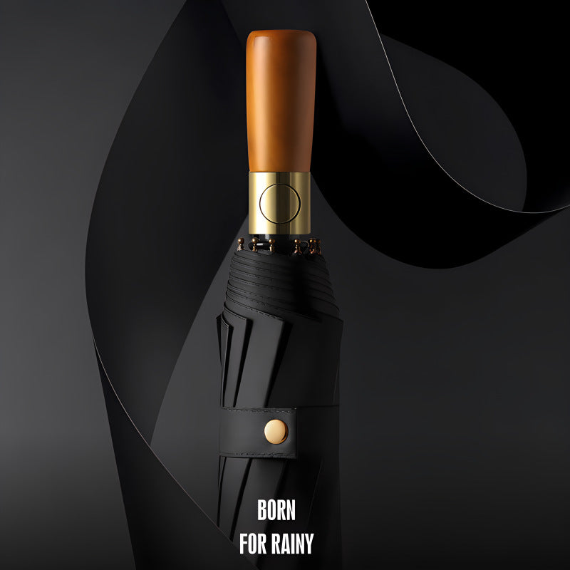 RainGuard – Fully Automatic Folding Umbrella