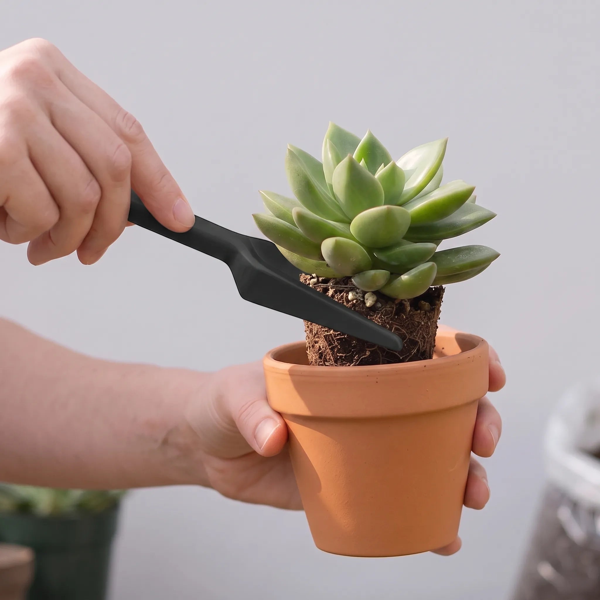 Indoor Gardening Tools Set - Miniature Kit for Plant Care