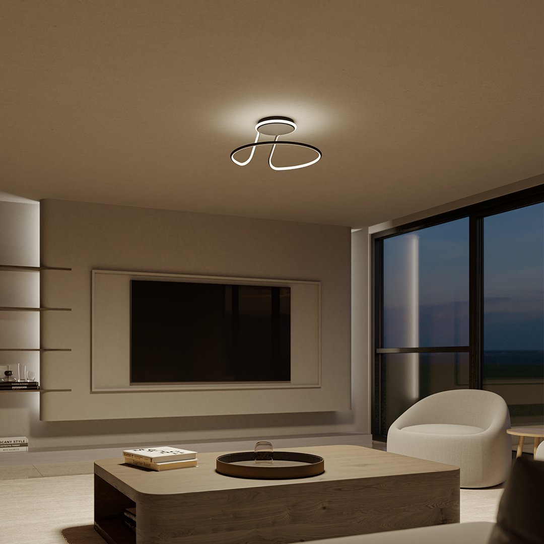 Contemporary Ceiling Light Fixture - Simple Design