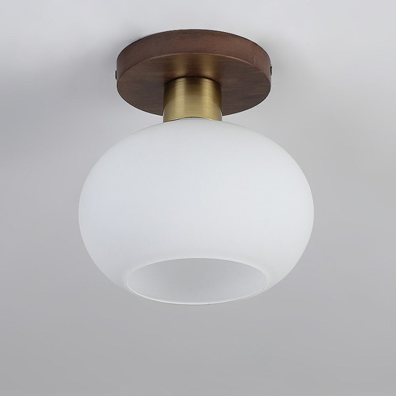 Sleek Ceiling Light Fixture for Modern Entrances and Hallways