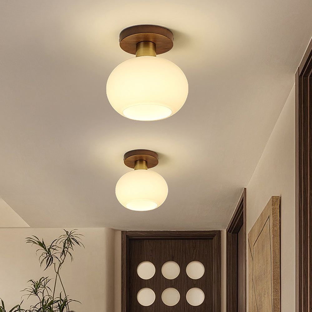 Sleek Ceiling Light Fixture for Modern Entrances and Hallways