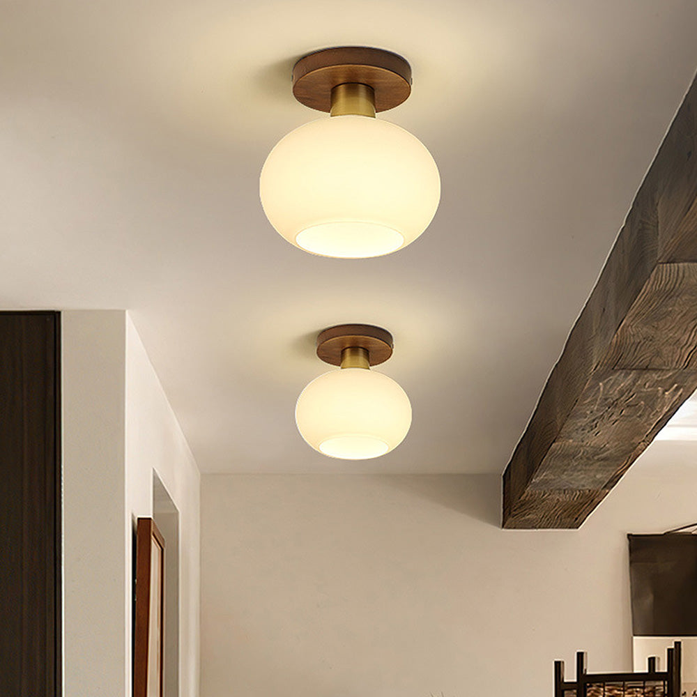 Sleek Ceiling Light Fixture for Modern Entrances and Hallways