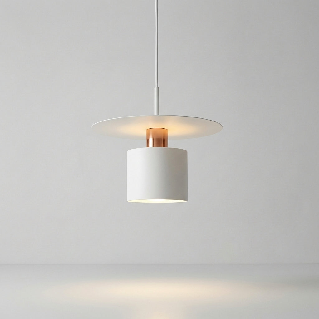 Contemporary Hanging Light Fixture - Minimalist Style