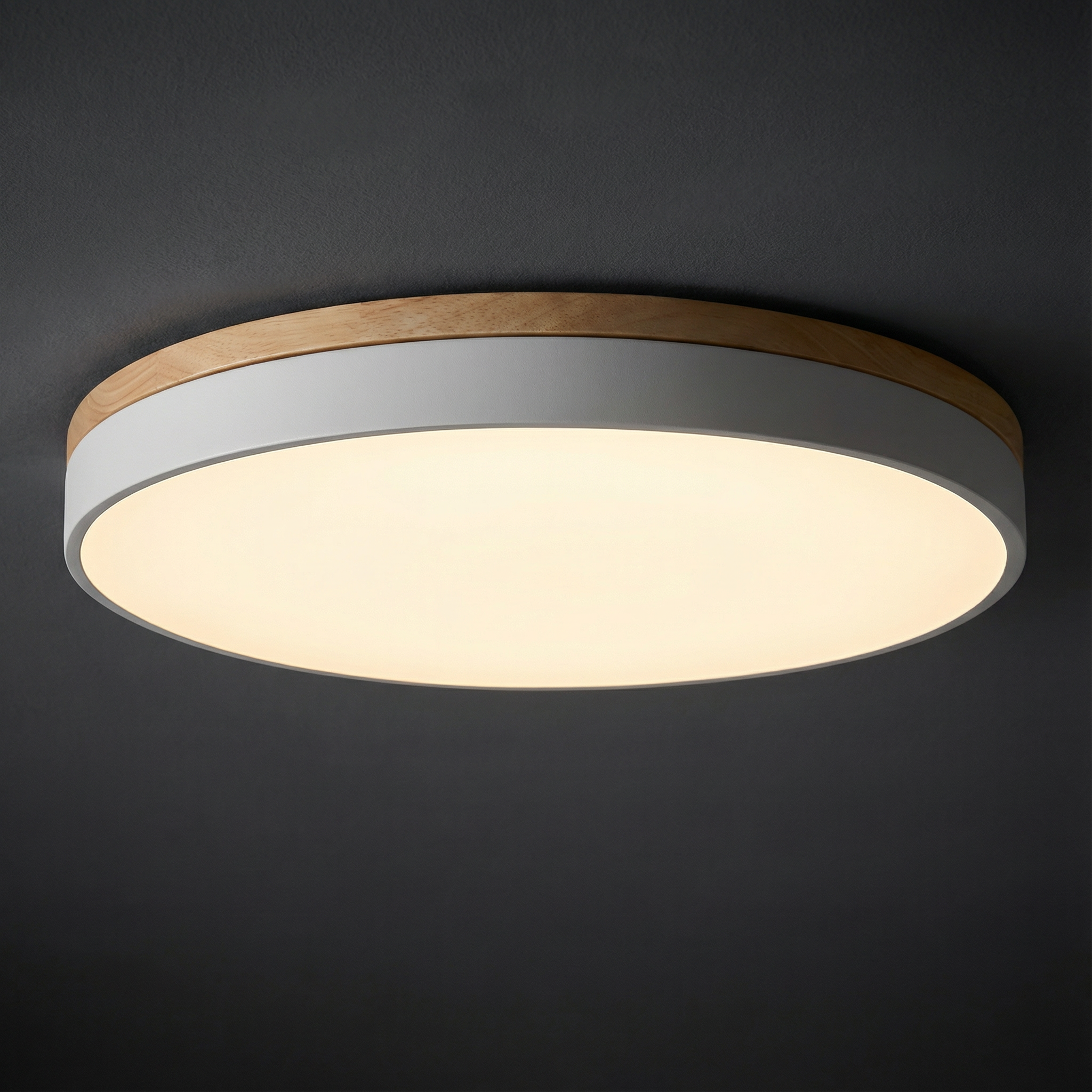 Sleek Dimmable LED Ceiling Light for Low Ceilings