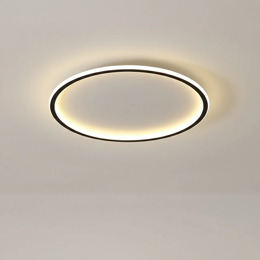 Contemporary Ceiling Fixture - Room Illumination