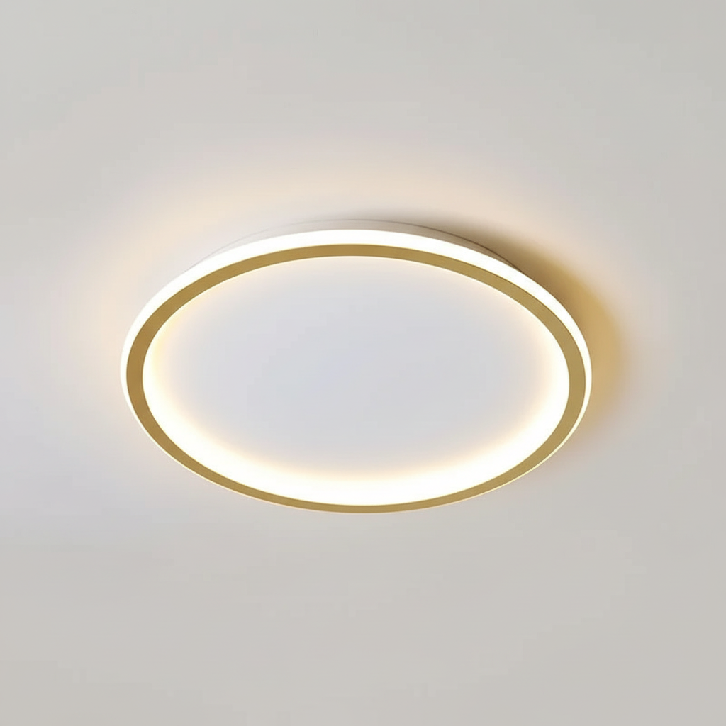 Contemporary Ceiling Fixture - Room Illumination