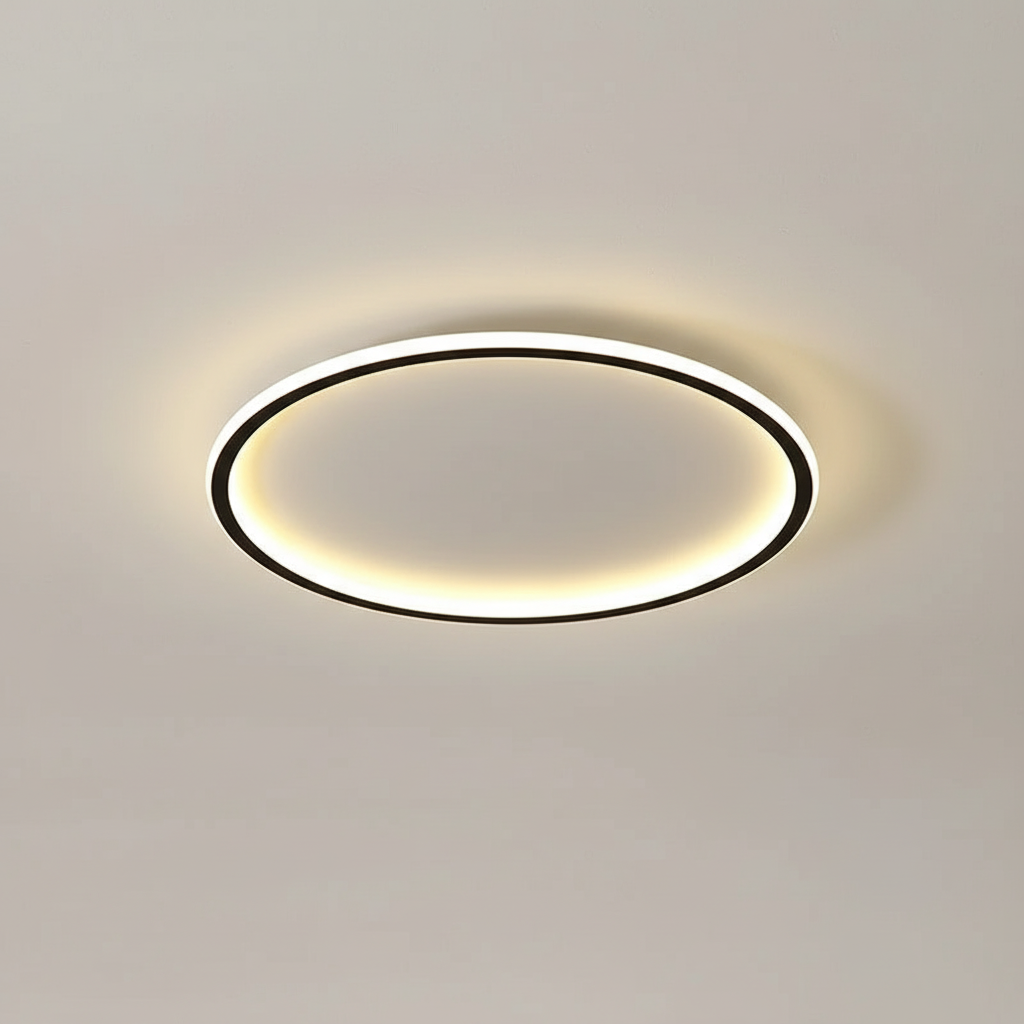 Contemporary Ceiling Fixture - Room Illumination