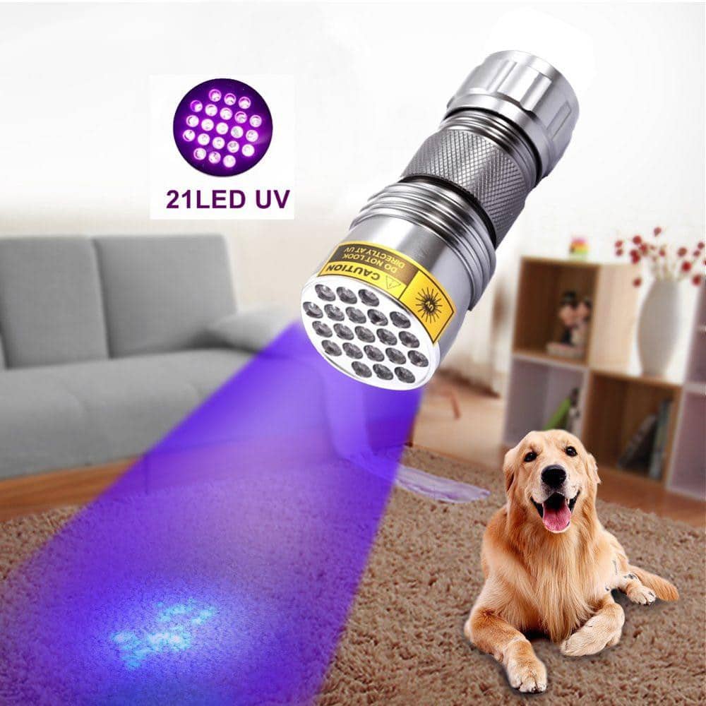 Compact 21-LED UV Detection Flashlight
