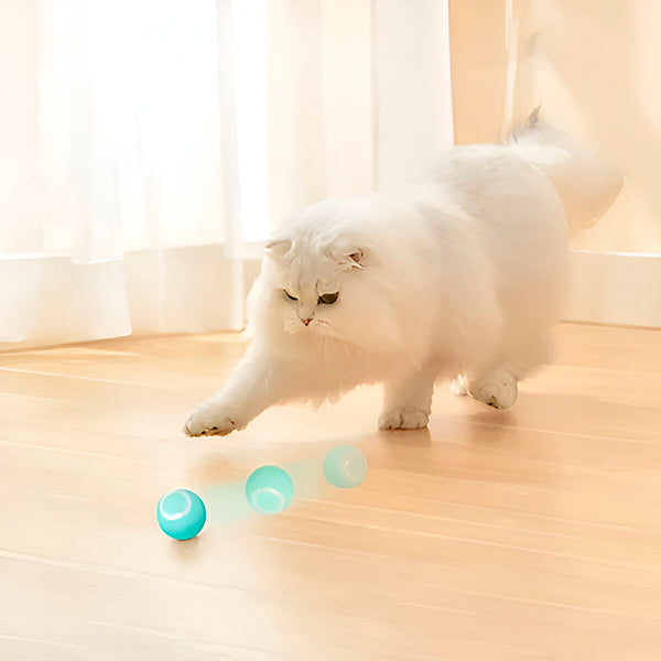 Smart Rolling Pet Toy for Engaging Playtime