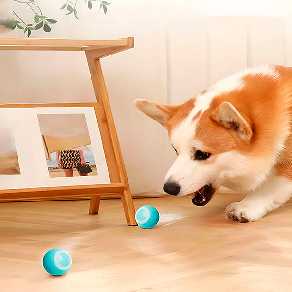 Smart Rolling Pet Toy for Engaging Playtime