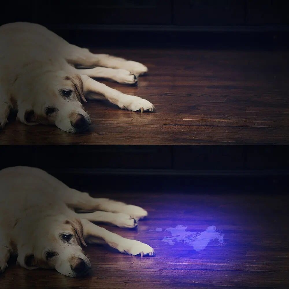 Compact 21-LED UV Detection Flashlight
