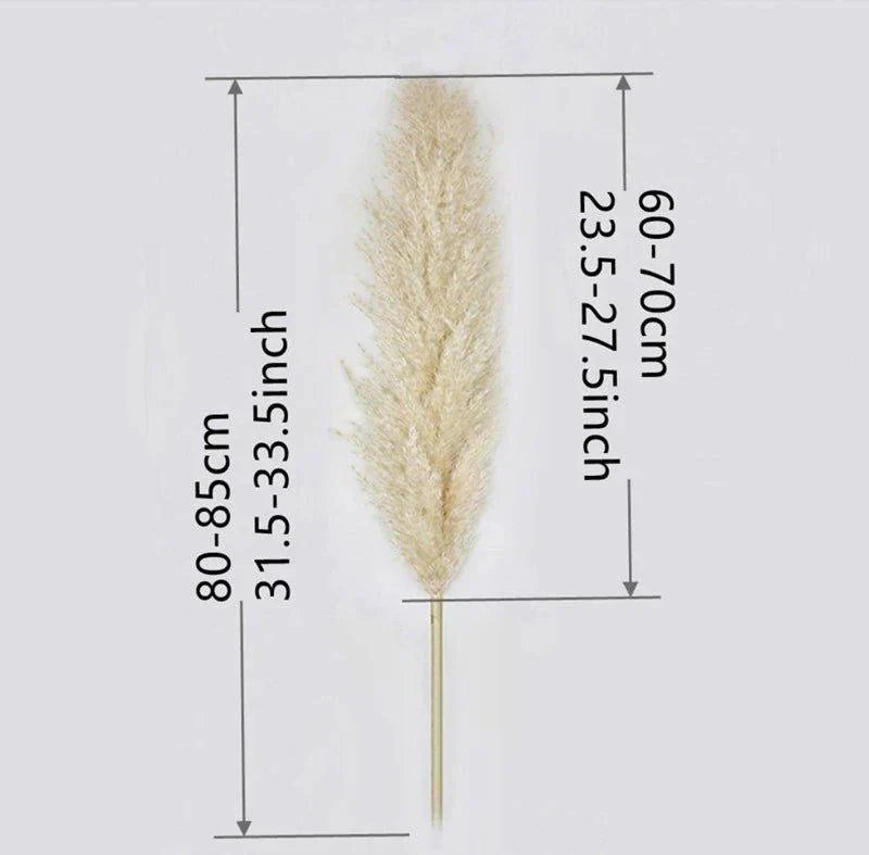 Elegant Dried Floral Arrangement | 80 cm Decorative Pampas Grass