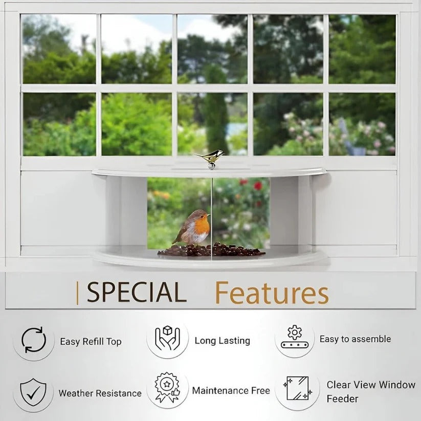VistaBird | Clear Window Bird Feeder with Simple Suction Cup Setup