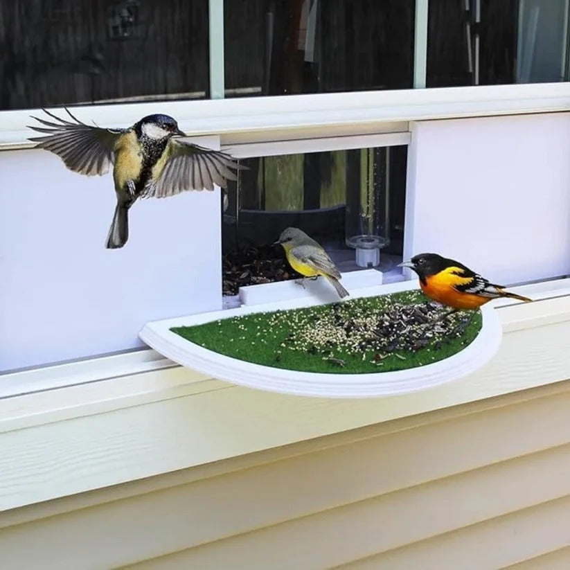 VistaBird | Clear Window Bird Feeder with Simple Suction Cup Setup