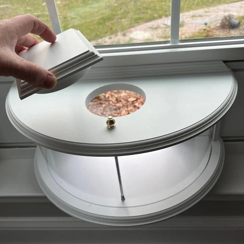 VistaBird | Clear Window Bird Feeder with Simple Suction Cup Setup