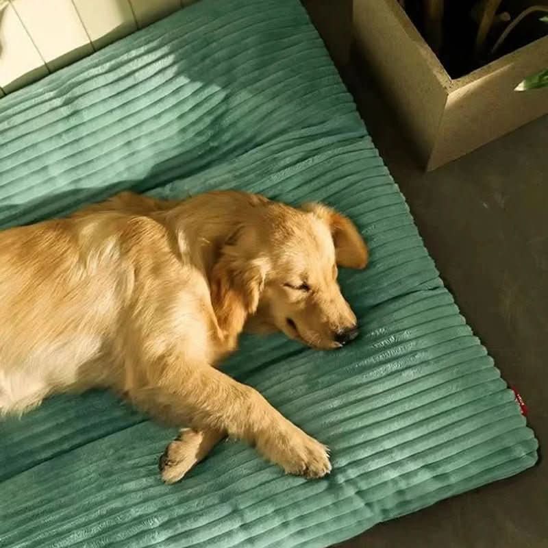 CozyPaws – Supportive Orthopedic Dog Bed for Ultimate Comfort
