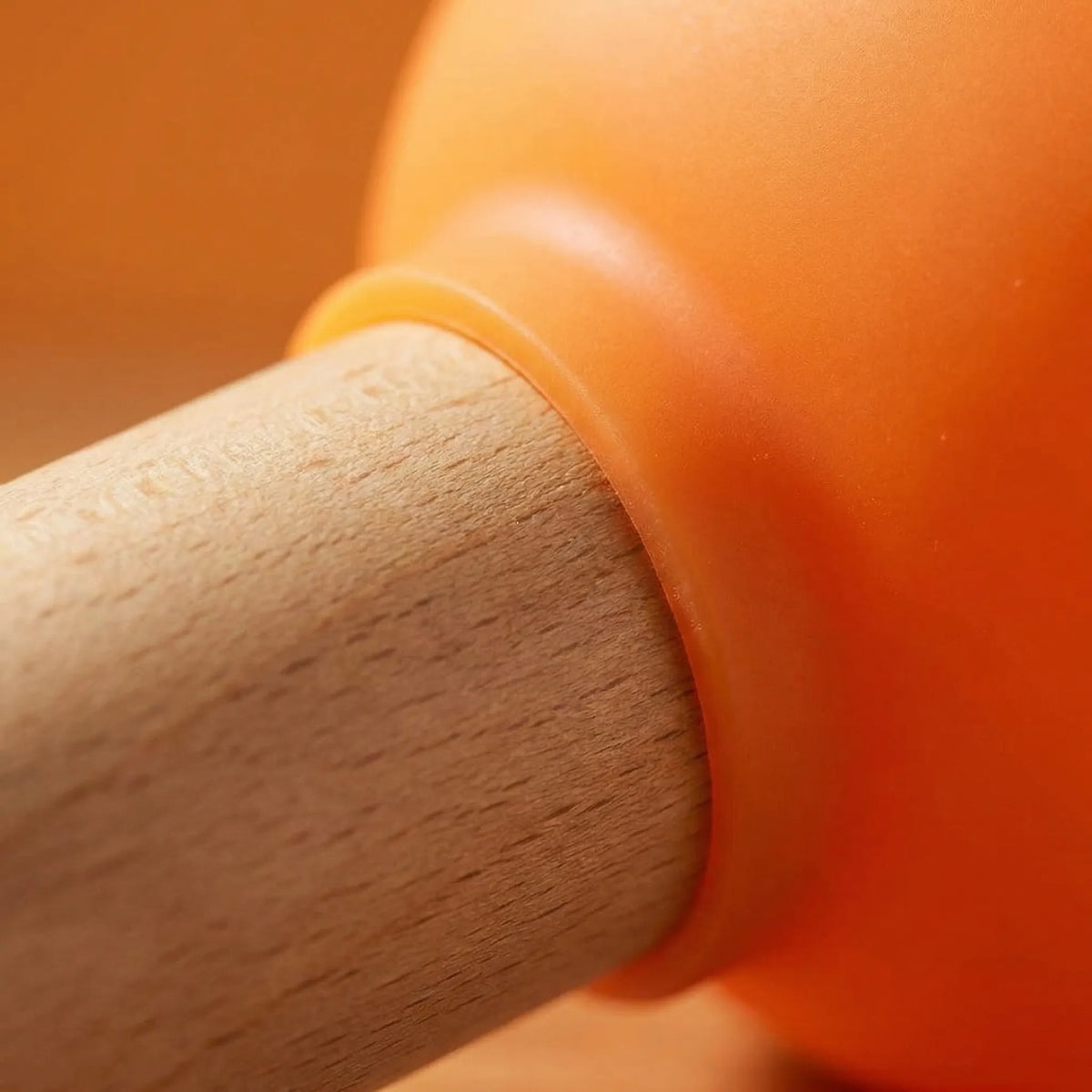 LED Lamp with Plunger Design