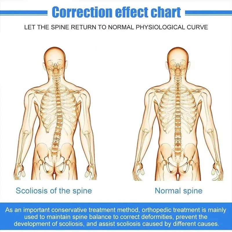 ErgoAlign | Tailored Spinal Support for Enhanced Comfort