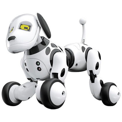Interactive Playful Companion Robot