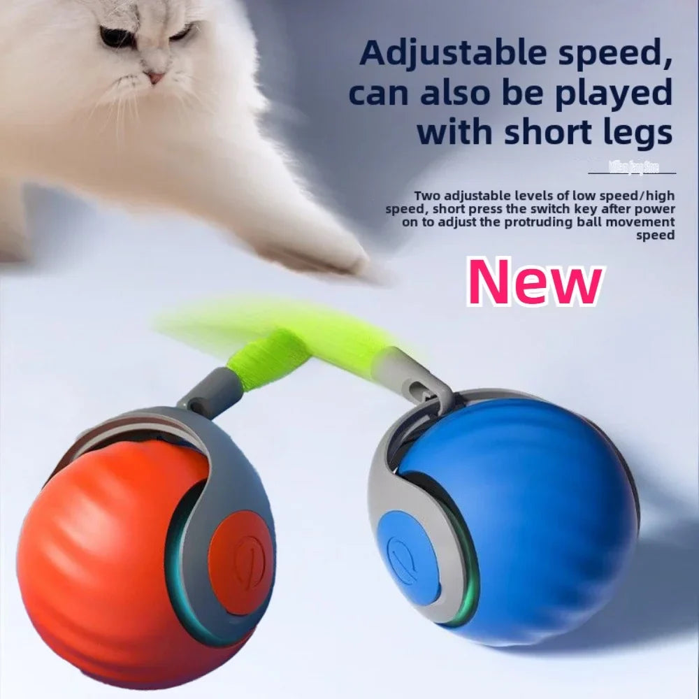 WhiskerChase Automatic Cat Play Ball | Engaging Feather Teaser Toy
