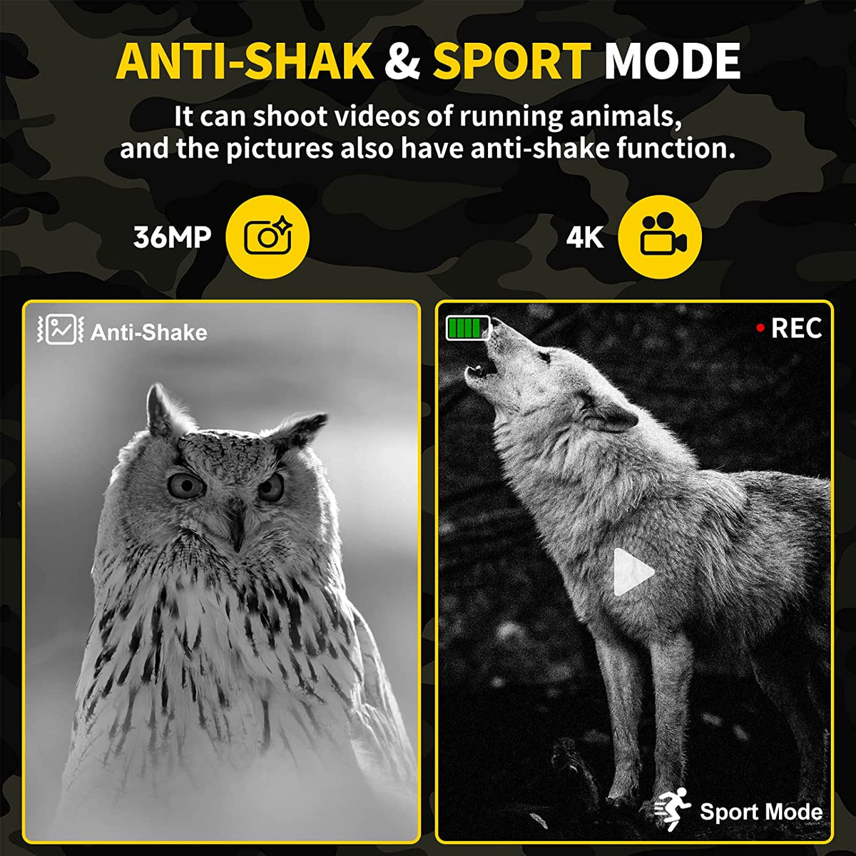 Enhanced Night Vision Binoculars for Ultimate Exploration