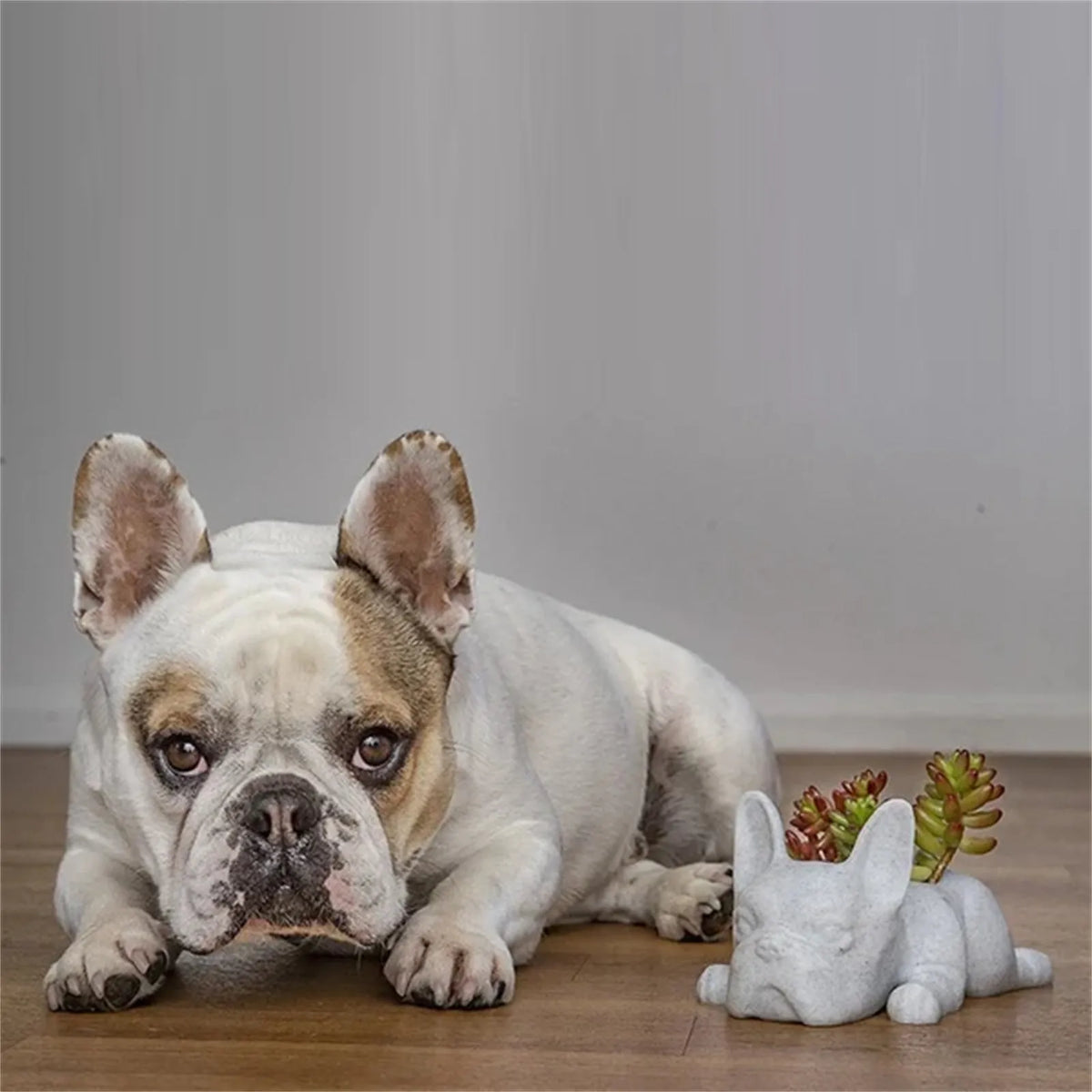 Succulent Planter for Dogs - Resin Buddy Design