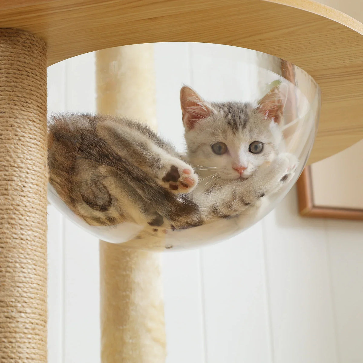 PurrNest 5-Tier Cat Haven | Multi-Level Wooden Cat Retreat with Scratch Posts & Comfortable Lounging Areas
