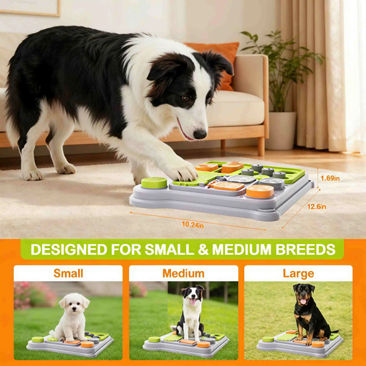 BrainBoost | Smart Dog Puzzle Feeder | Engaging Slow Feeder for Small & Medium Dogs
