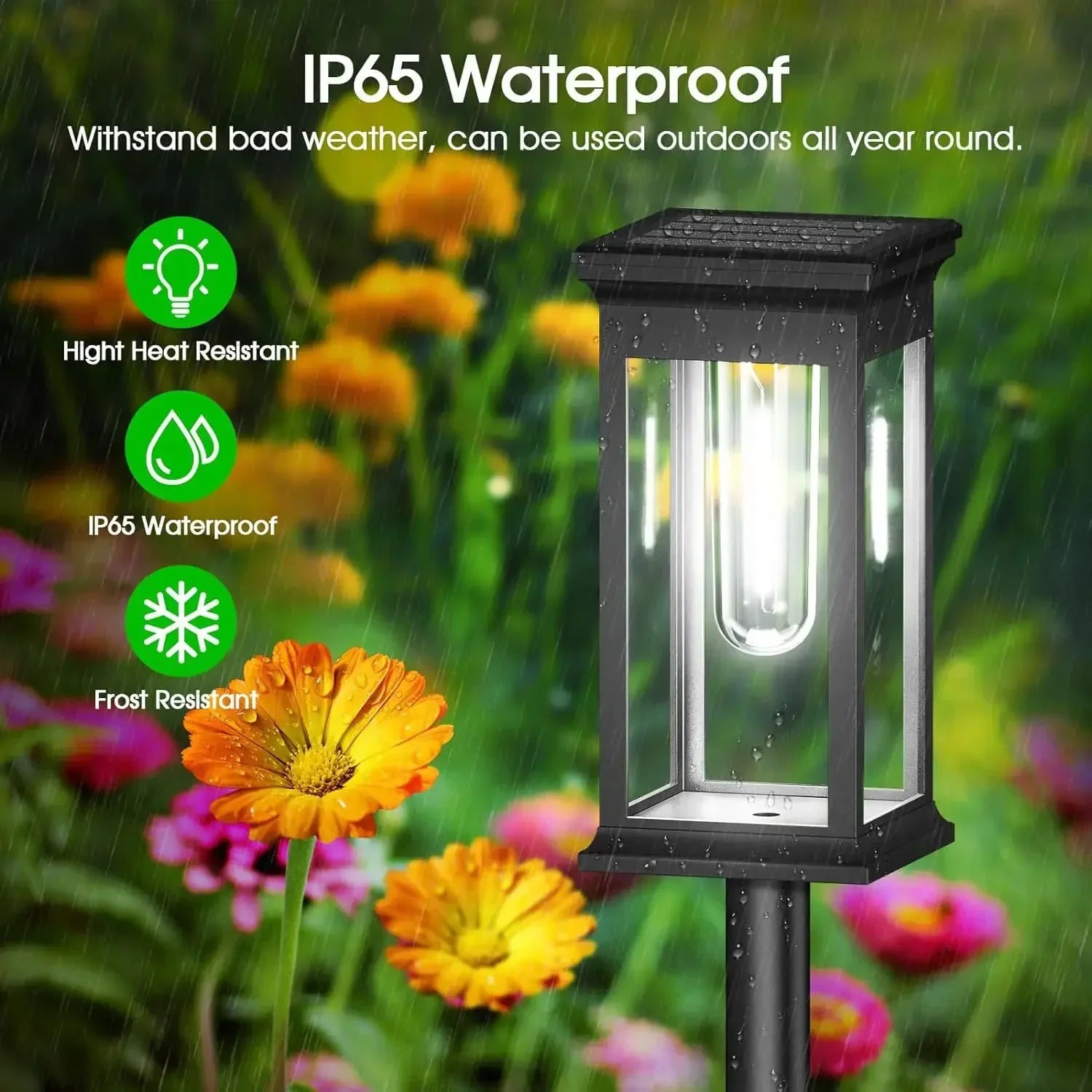 Illuminated Solar Pathway Lights - Set of 2 with Auto Sensor