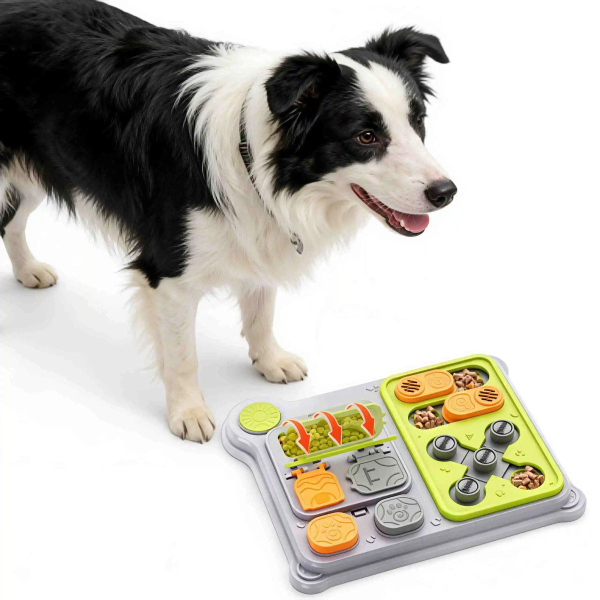 BrainBoost | Smart Dog Puzzle Feeder | Engaging Slow Feeder for Small & Medium Dogs