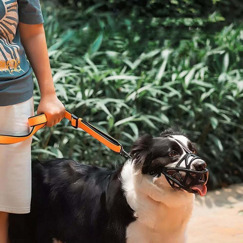 ComfortFit Dog Muzzle | Breathable & Lightweight Design