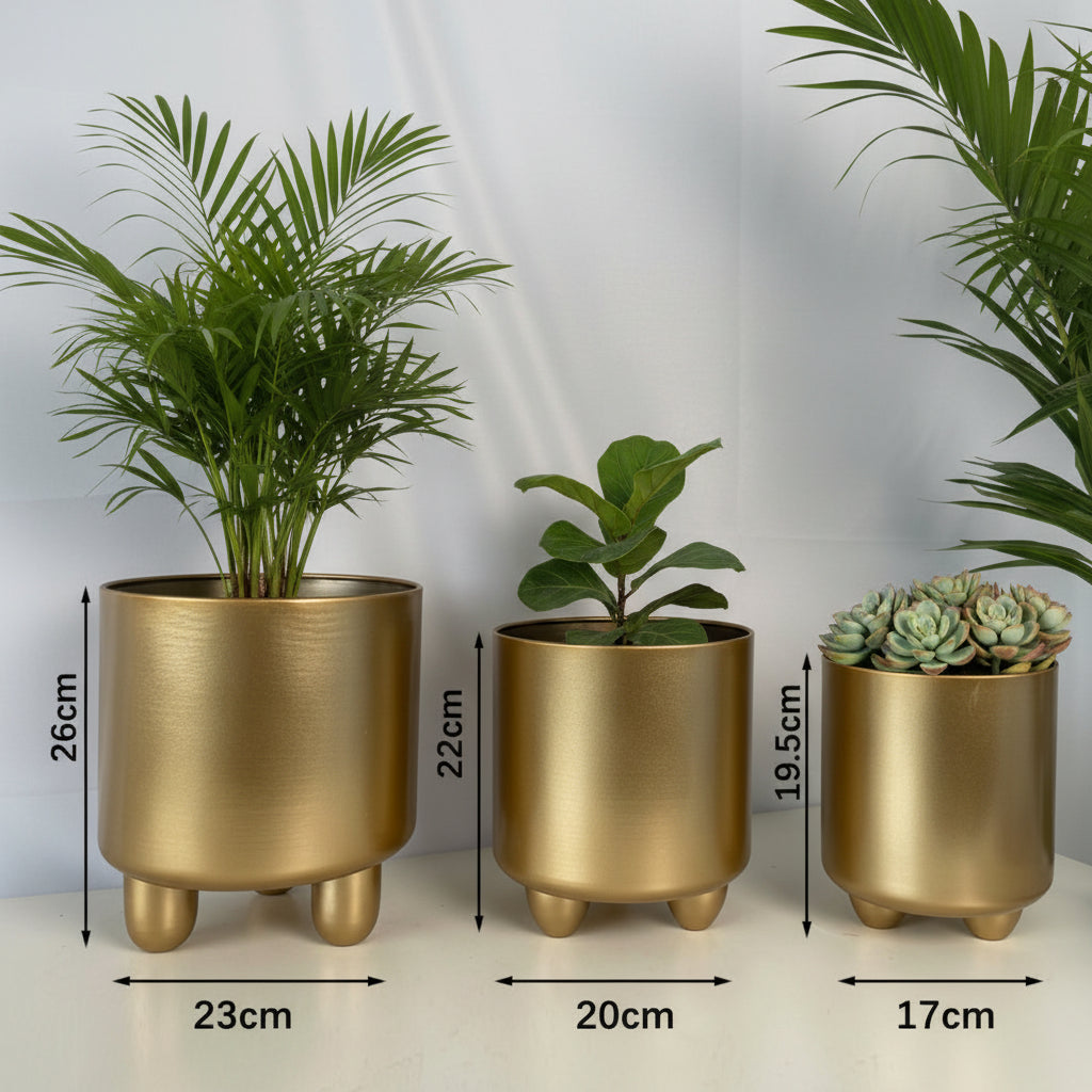 Chic Ceramic Planter Duo for Contemporary Spaces