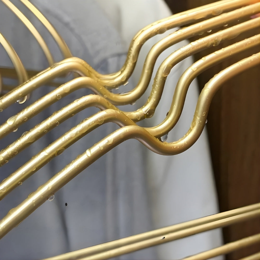 Ultra-Sleek Hanger Set for Effortless Wardrobe Management | 10-Pack