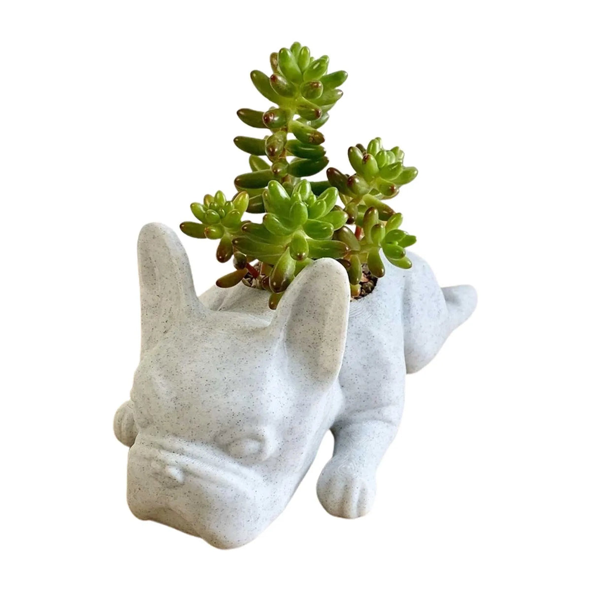 Succulent Planter for Dogs - Resin Buddy Design
