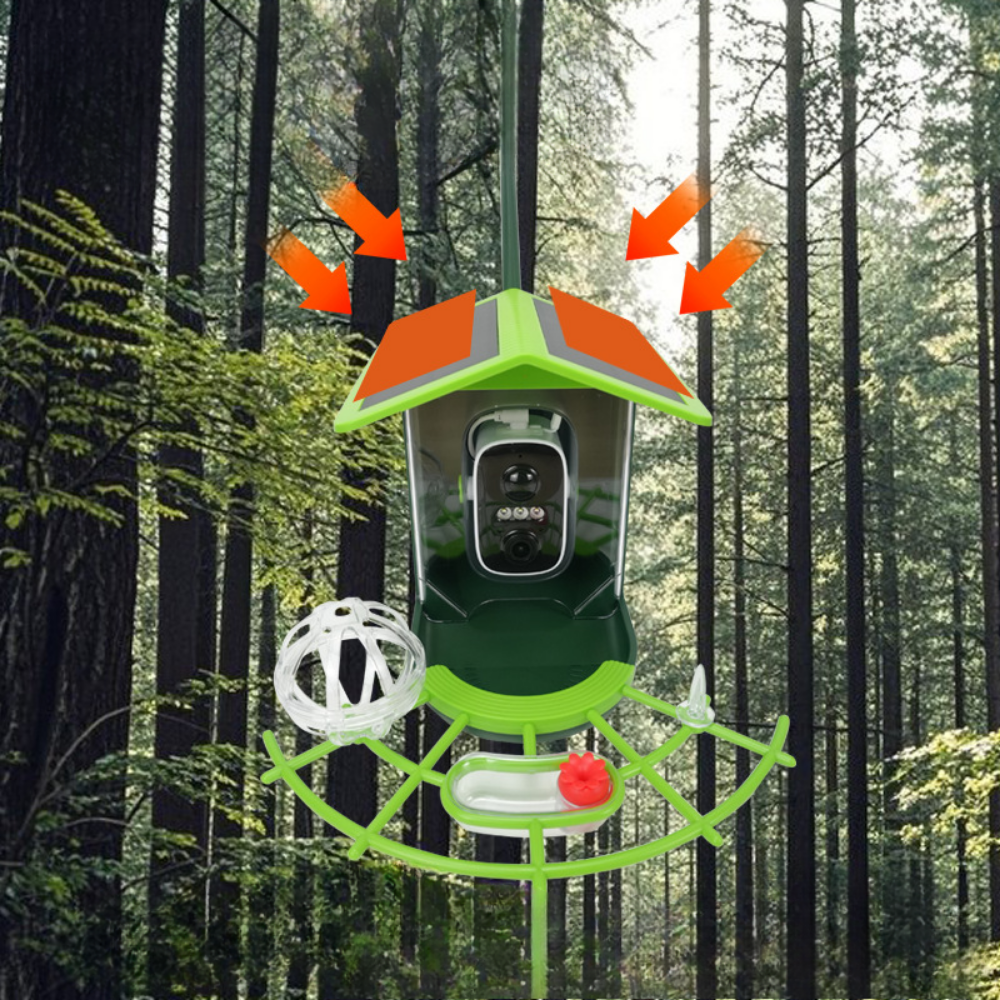High-Definition Bird Watching Feeder with Smart Alerts