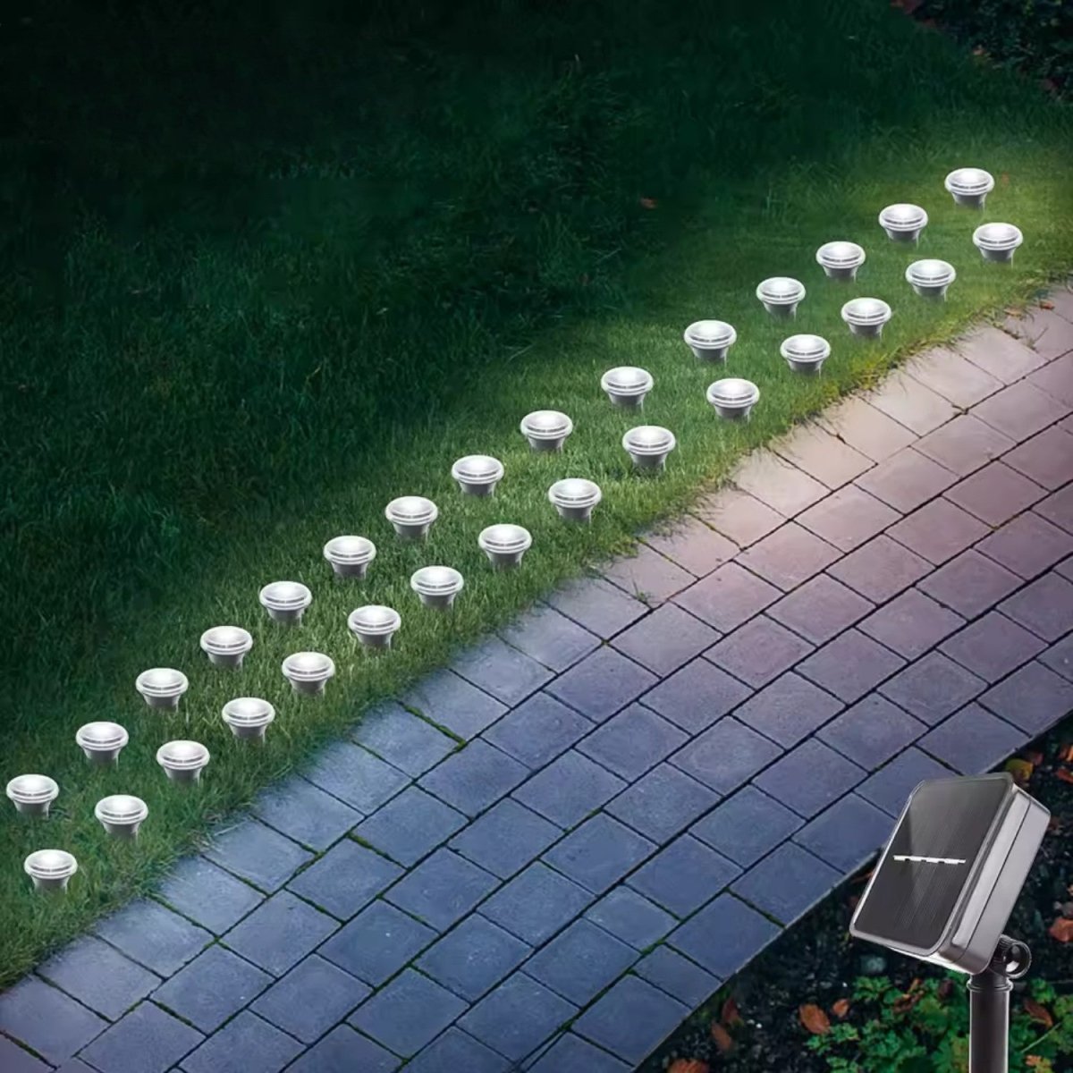 Solar Garden Path Light with 8 Brightness Settings and Auto Sensor